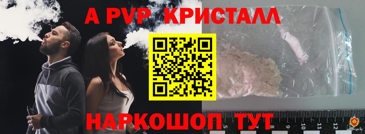 Альфа ПВП СК КРИС Ливны