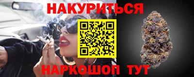 крисы Будённовск
