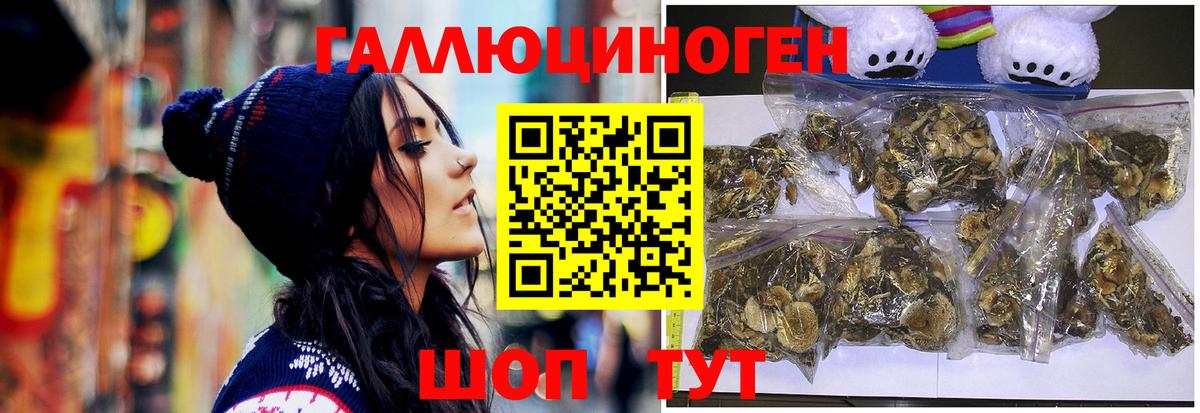 Ливны  Псилоцибиновые грибы мухоморы  Вход с VPN 